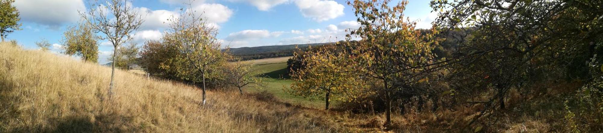 Ferienhof"Waldesel Rippersroda" Kültér fotó
