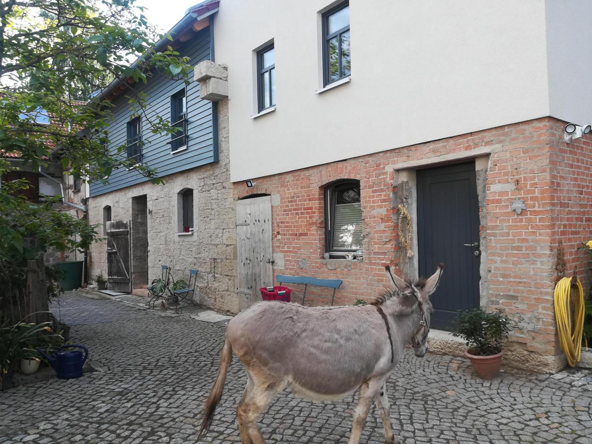 Ferienhof"Waldesel Rippersroda" Kültér fotó