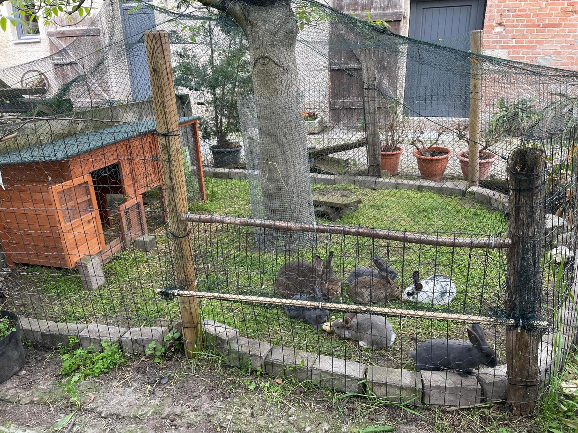 Ferienhof"Waldesel Rippersroda" Kültér fotó