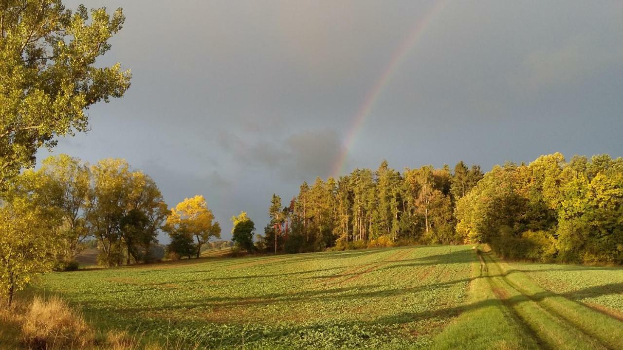 Ferienhof"Waldesel Rippersroda" Kültér fotó