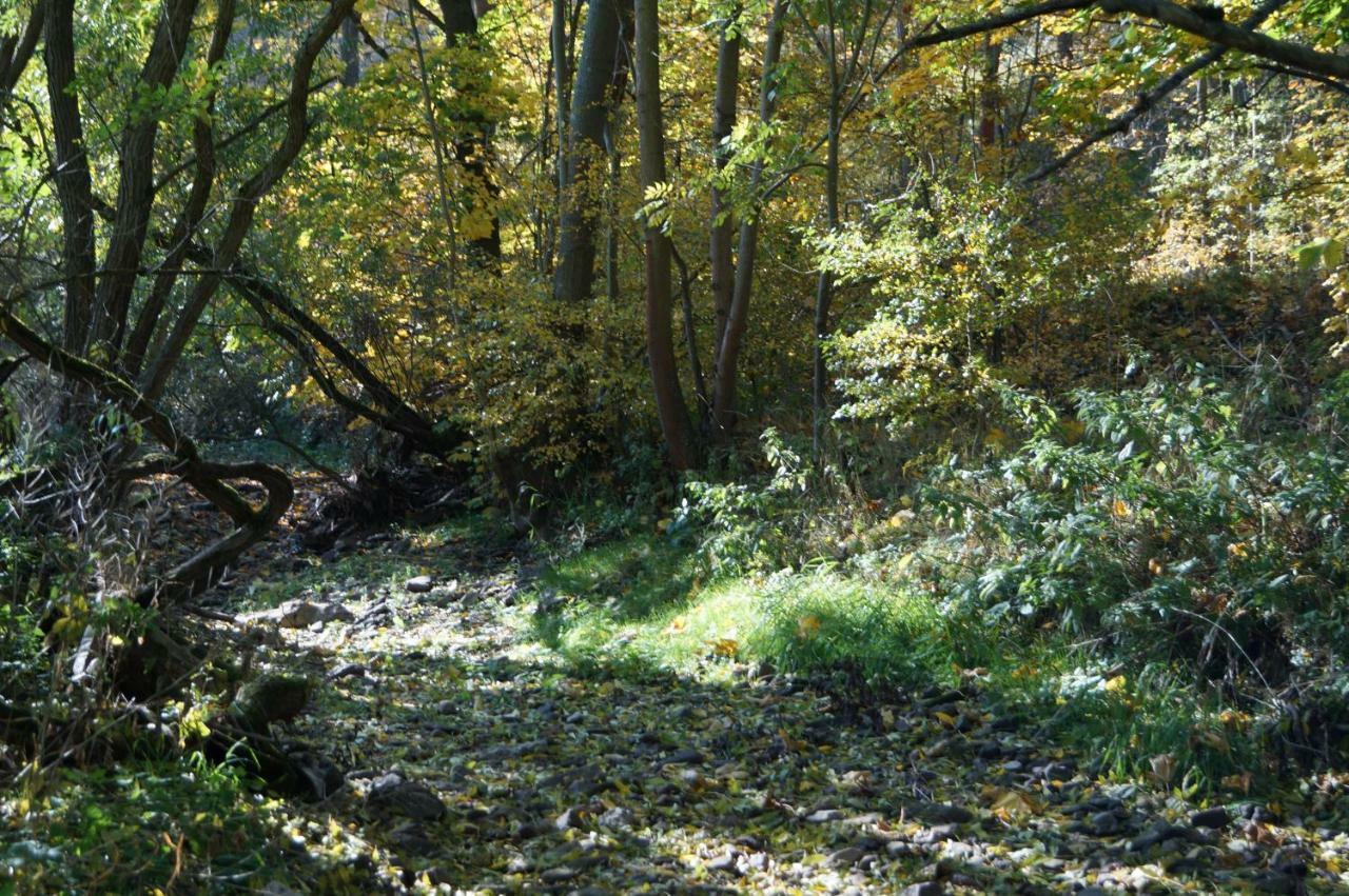 Ferienhof"Waldesel Rippersroda" Kültér fotó